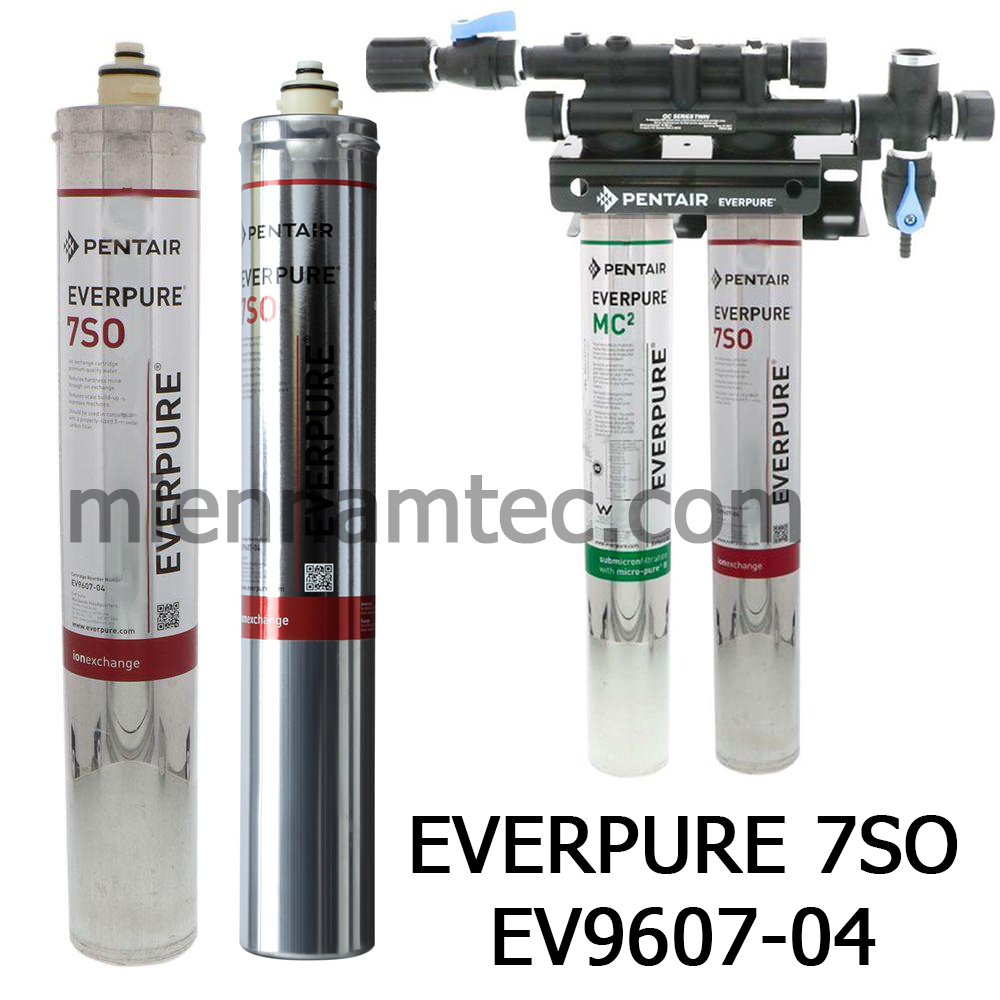 Everpure 7SO EV9607-04 